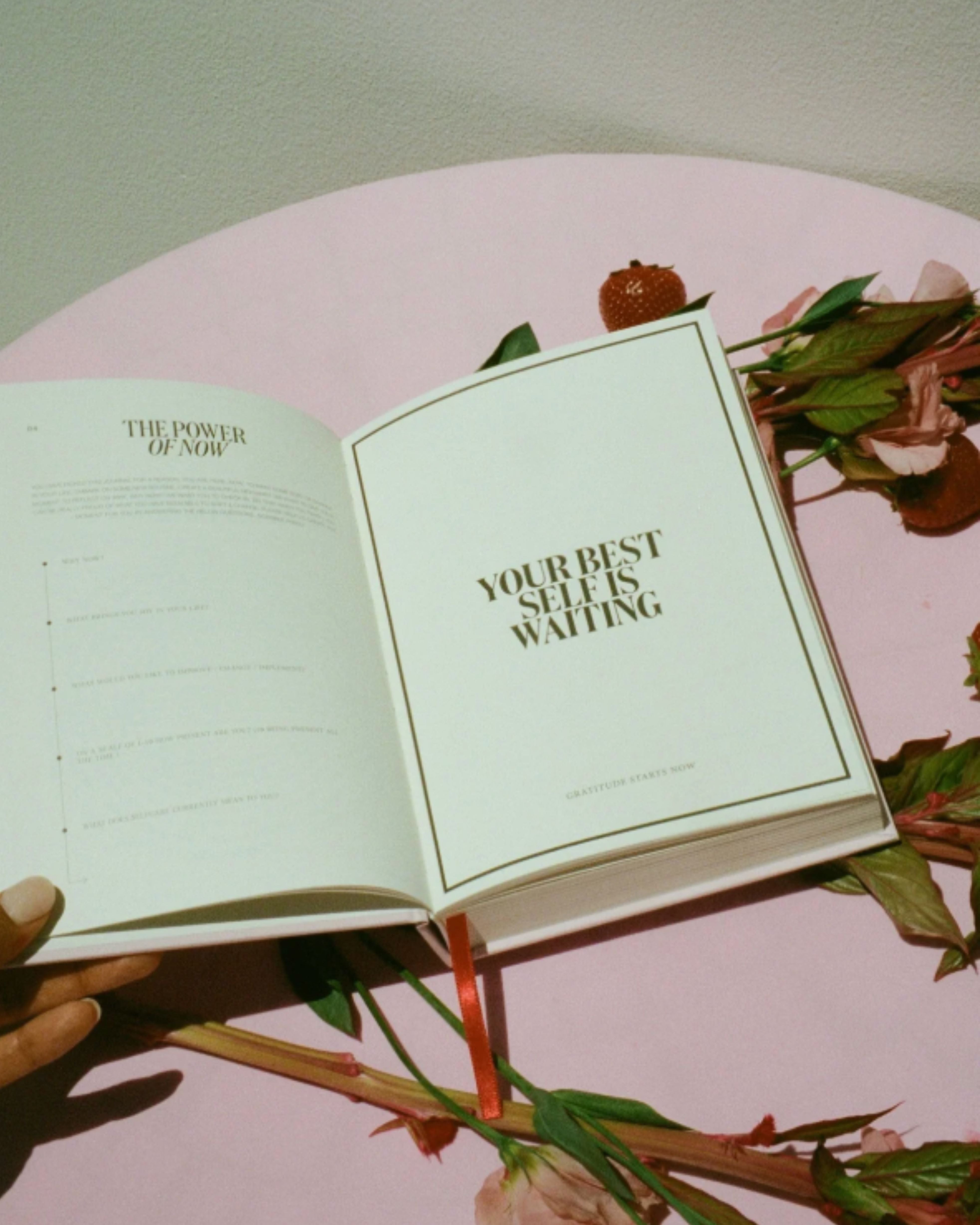 selfdom gratitude journal | dominique ellisa | baby pink