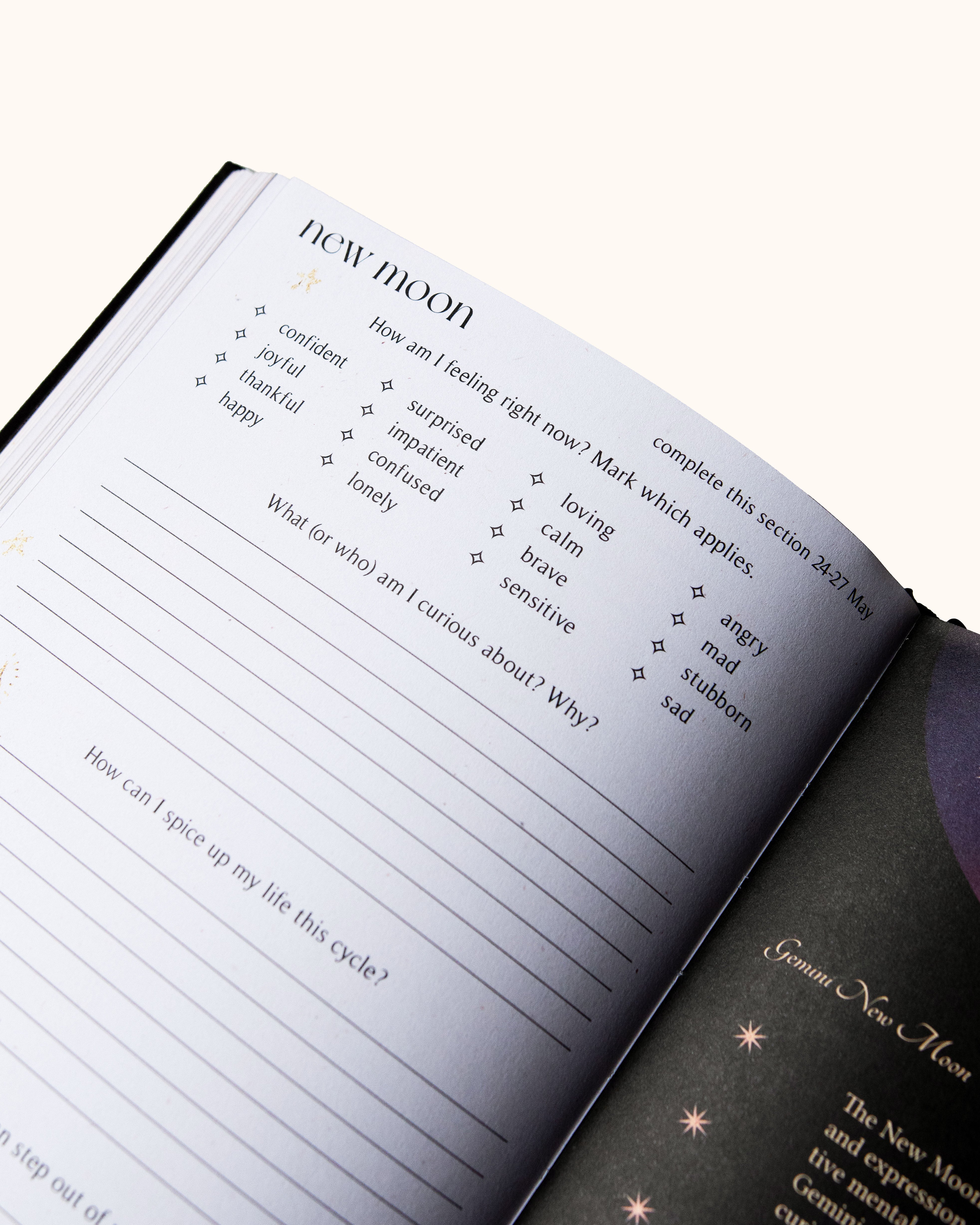 2025 year of growth book | dreamy moons | black