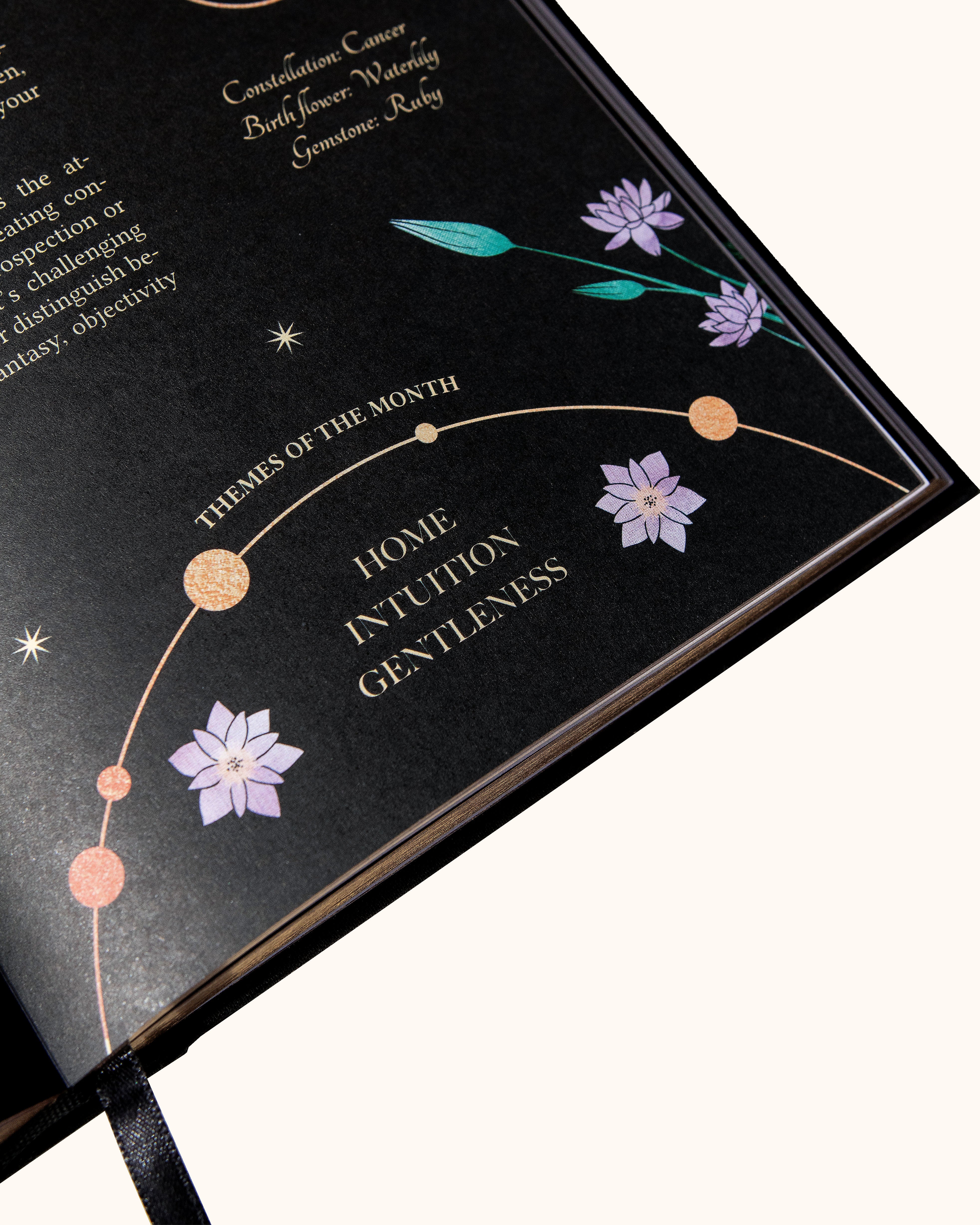 2025 year of growth book | dreamy moons | black